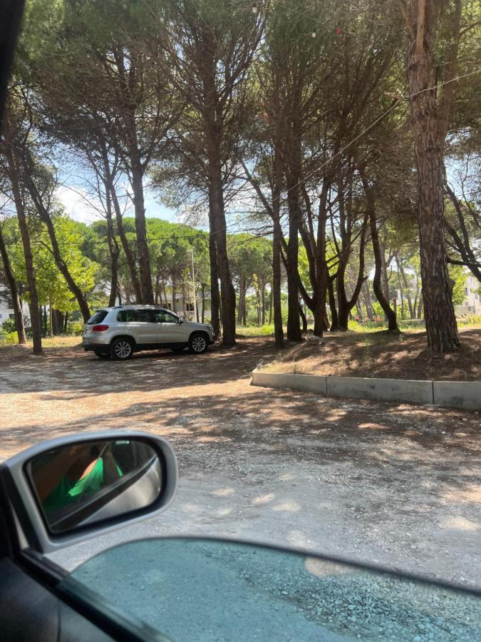 Roel 2 Nr 88 Vlore
